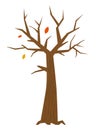 Bald autumn tree - modern flat design style single isolated image