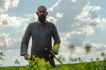 Bald bearded man in metal chain mail over linen shirt stands in the middle of field, holding a sword. Militant look. Blurred