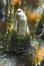 Bald Cypress knee serenity and reflections at Biedler swamp in South Carolina Royalty Free Stock Photo