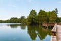 Bald Cypress Trees Near Fishing Pier at Stumpy Lake