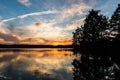 Bald Cypress Trees at Sunset at Stumpy Lake