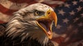 Bald Eagle with American Flag in the background - 3D Rendering Royalty Free Stock Photo