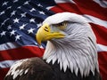 Bald eagle with the American flag background Royalty Free Stock Photo