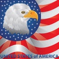 Bald eagle on american flag background. Vector illustration decorative background design Royalty Free Stock Photo