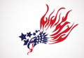 Bald Eagle American Flag Logo Royalty Free Stock Photo
