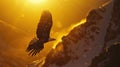 a bald eagle as it soars gracefully over the breathtaking Alaskan wilderness, with snow-capped mountains and dense Royalty Free Stock Photo