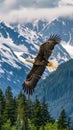 a bald eagle as it soars gracefully over the breathtaking Alaskan wilderness, with snow-capped mountains and dense Royalty Free Stock Photo