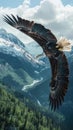 a bald eagle as it soars gracefully over the breathtaking Alaskan wilderness, with snow-capped mountains and dense Royalty Free Stock Photo