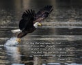 Bald Eagle Bible Verse