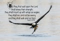 Bald Eagle Bible Verse