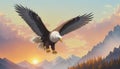 Bald eagle bird flight golden evening sunset Royalty Free Stock Photo