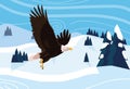 Bald eagle bird flying with landscape Royalty Free Stock Photo