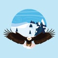 Bald eagle bird flying with landscape Royalty Free Stock Photo