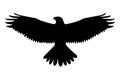Bald Eagle Bird Flying Silhouette Isolated