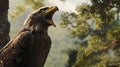 BALD EAGLE CALLING FIERCELY WITH SHARP BEAK OPEN WIDE PICTURE Royalty Free Stock Photo