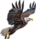 Bald eagle, Close-up colored-pencil sketch of a Bald eagle. AI-Generated. Royalty Free Stock Photo