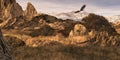 Bald Eagle in the Colorado Rockies