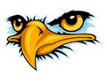 bald eagle face cartoon mascot . can use for sport logo