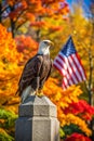 Bald Eagle in Fall Setting, Perched on a Monument with Stunning Autumn Colors, Great for Wallpaper or Background Royalty Free Stock Photo