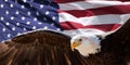 Bald eagle and flag Royalty Free Stock Photo