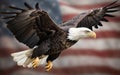 Bald Eagle in flight with the American Flag in the background Royalty Free Stock Photo