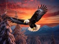 Bald Eagle flight Royalty Free Stock Photo