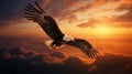 Bald eagle flying above the clouds at sunset Royalty Free Stock Photo