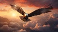 Bald eagle flying above the clouds at sunset Royalty Free Stock Photo