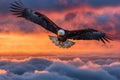Bald Eagle Flying Above the Clouds at Sunset Royalty Free Stock Photo