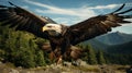 A bald eagle flying in the air. Generative AI. Royalty Free Stock Photo