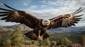 A bald eagle flying in the air. Generative AI. Royalty Free Stock Photo