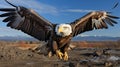 A bald eagle flying in the air. Generative AI. Royalty Free Stock Photo