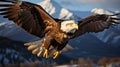 A bald eagle flying in the air. Generative AI. Royalty Free Stock Photo