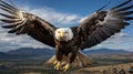 A bald eagle flying in the air. Generative AI. Royalty Free Stock Photo