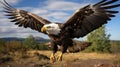 A bald eagle flying in the air. Generative AI. Royalty Free Stock Photo