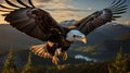 A bald eagle flying in the air. Generative AI. Royalty Free Stock Photo