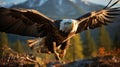 A bald eagle flying in the air. Generative AI. Royalty Free Stock Photo