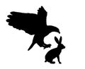 Bald eagle flying and attack rabbit vector silhouette illustration isolated on white background. Royalty Free Stock Photo