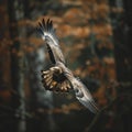 bald eagle flying in forest .Generative Ai Royalty Free Stock Photo