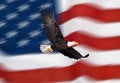 Bald eagle flying in front of the American flag