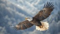 Bald Eagle Flying in Front of Snowy Mountain Royalty Free Stock Photo