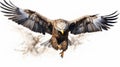 Bald Eagle Flying Illustration In Grzegorz Domaradzki Style