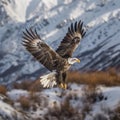 bald eagle flying with mountains in the background,Generative Ai Royalty Free Stock Photo