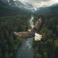bald eagle flying with mountains in the background,Generative Ai Royalty Free Stock Photo