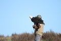 Bald eagle Royalty Free Stock Photo