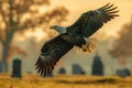 Bald Eagle Flying Over a Cemetery, An American eagle soaring over the headstones of a national military cemetery, AI Generated