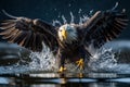 Bald eagle flying over the surface of the water with wings spread. Amazing American Wildlife. Generative Ai