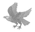 Bald eagle flying on the sky, Vintage engraving drawing illustration Royalty Free Stock Photo