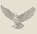 Bald eagle flying on the sky, Vintage engraving drawing style illustration Royalty Free Stock Photo