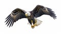 Bald eagle flying swoop hand draw and paint color on white background. Generative Ai Royalty Free Stock Photo